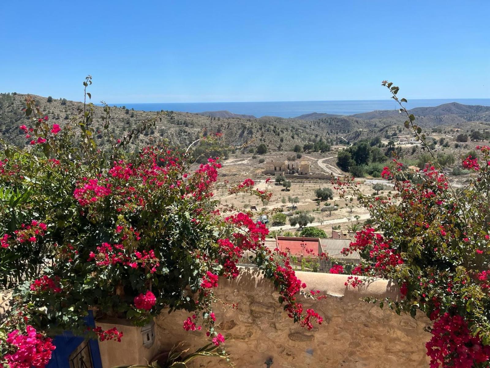 Casa Con Vistas Al Mar Y Patio De Buganvillas Aigues エクステリア 写真
